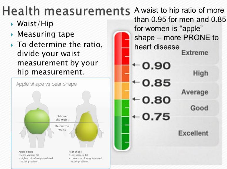 How to Measure Hips and Waist Ratio